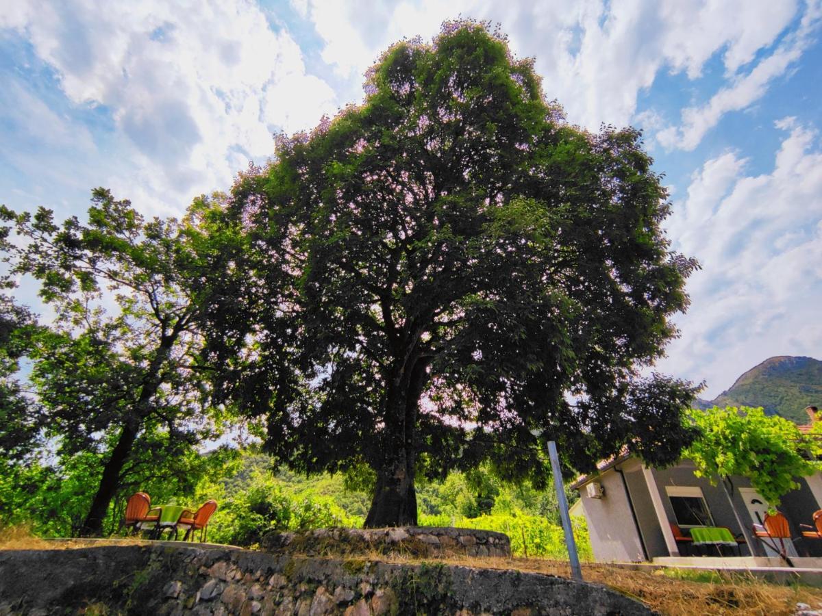 Celtis Shade House Vila Virpazar Exterior foto