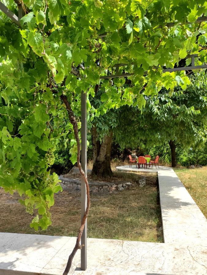 Celtis Shade House Vila Virpazar Exterior foto